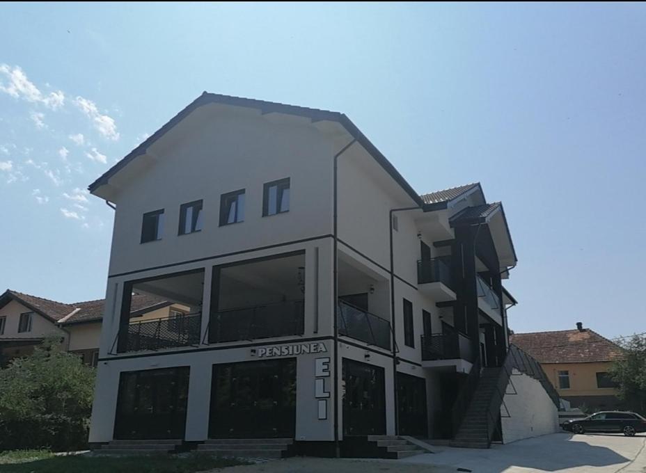 Pensiunea Eli Buzias Exterior photo